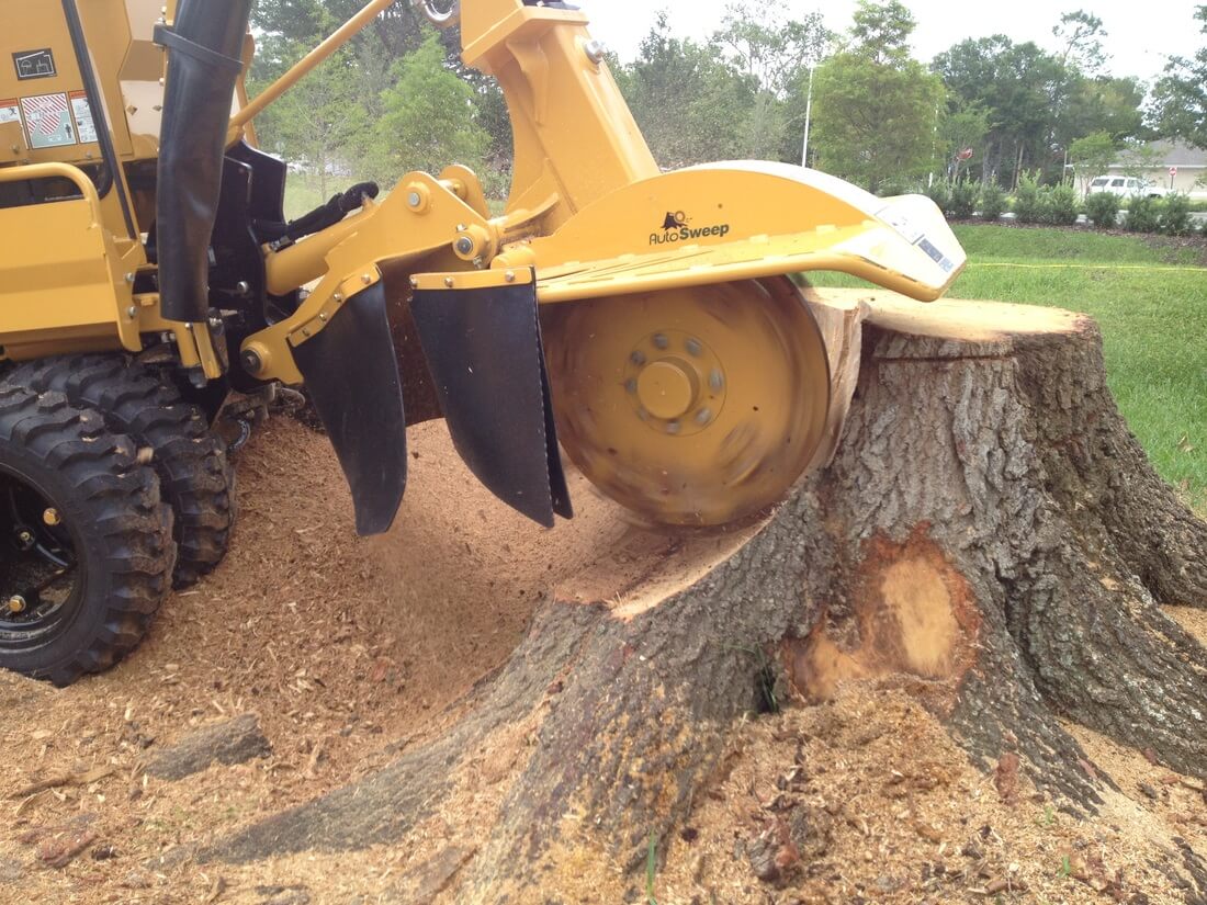 Stump Beach tree grinding Palm West and FL service, ft