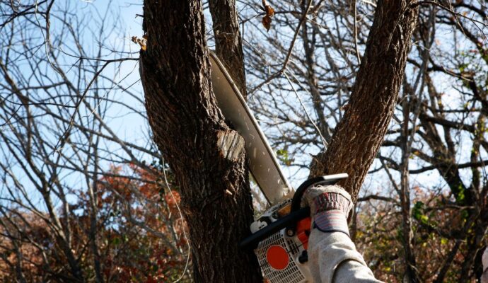 North Palm Beach-Palm Beach County Tree Trimming and Tree Removal Services-We Offer Tree Trimming Services, Tree Removal, Tree Pruning, Tree Cutting, Residential and Commercial Tree Trimming Services, Storm Damage, Emergency Tree Removal, Land Clearing, Tree Companies, Tree Care Service, Stump Grinding, and we're the Best Tree Trimming Company Near You Guaranteed!