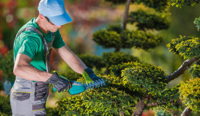 Palm Springs-Palm Beach County Tree Trimming and Tree Removal Services-We Offer Tree Trimming Services, Tree Removal, Tree Pruning, Tree Cutting, Residential and Commercial Tree Trimming Services, Storm Damage, Emergency Tree Removal, Land Clearing, Tree Companies, Tree Care Service, Stump Grinding, and we're the Best Tree Trimming Company Near You Guaranteed!
