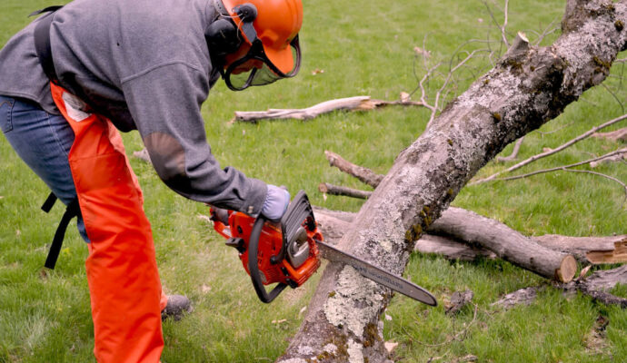 West Palm Beach-Palm Beach County Tree Trimming and Tree Removal Services-We Offer Tree Trimming Services, Tree Removal, Tree Pruning, Tree Cutting, Residential and Commercial Tree Trimming Services, Storm Damage, Emergency Tree Removal, Land Clearing, Tree Companies, Tree Care Service, Stump Grinding, and we're the Best Tree Trimming Company Near You Guaranteed!