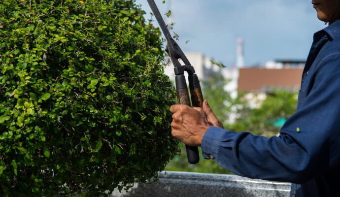 All affordable tree service-Palm Beach County Tree Trimming and Tree Removal Services-We Offer Tree Trimming Services, Tree Removal, Tree Pruning, Tree Cutting, Residential and Commercial Tree Trimming Services, Storm Damage, Emergency Tree Removal, Land Clearing, Tree Companies, Tree Care Service, Stump Grinding, and we're the Best Tree Trimming Company Near You Guaranteed!