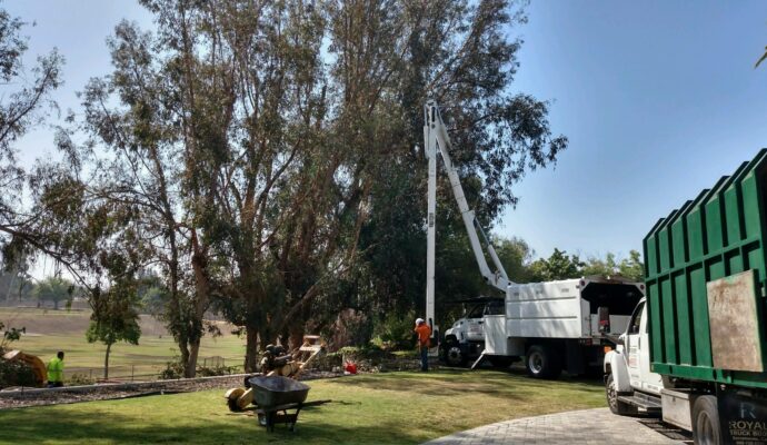 Commercial Tree Services Near Me Palm Beach County--Palm Beach County Tree Trimming and Tree Removal Services-We Offer Tree Trimming Services, Tree Removal, Tree Pruning, Tree Cutting, Residential and Commercial Tree Trimming Services, Storm Damage, Emergency Tree Removal, Land Clearing, Tree Companies, Tree Care Service, Stump Grinding, and we're the Best Tree Trimming Company Near You Guaranteed!