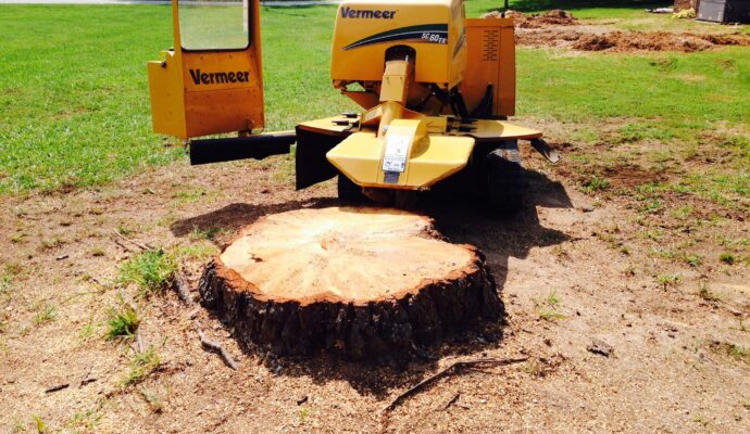 Cost for stump removal-Palm Beach County Tree Trimming and Tree Removal Services-We Offer Tree Trimming Services, Tree Removal, Tree Pruning, Tree Cutting, Residential and Commercial Tree Trimming Services, Storm Damage, Emergency Tree Removal, Land Clearing, Tree Companies, Tree Care Service, Stump Grinding, and we're the Best Tree Trimming Company Near You Guaranteed!