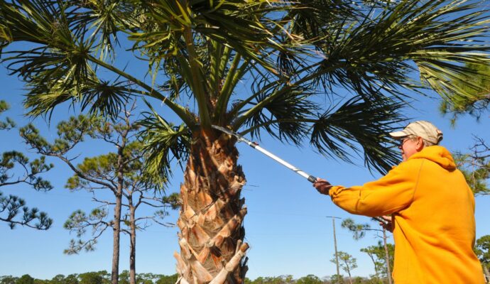 How Much Does Palm Tree Trimming Cost-Palm Beach County Tree Trimming and Tree Removal Services-We Offer Tree Trimming Services, Tree Removal, Tree Pruning, Tree Cutting, Residential and Commercial Tree Trimming Services, Storm Damage, Emergency Tree Removal, Land Clearing, Tree Companies, Tree Care Service, Stump Grinding, and we're the Best Tree Trimming Company Near You Guaranteed!