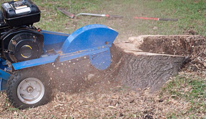How much does stump grinding cost-Palm Beach County Tree Trimming and Tree Removal Services-We Offer Tree Trimming Services, Tree Removal, Tree Pruning, Tree Cutting, Residential and Commercial Tree Trimming Services, Storm Damage, Emergency Tree Removal, Land Clearing, Tree Companies, Tree Care Service, Stump Grinding, and we're the Best Tree Trimming Company Near You Guaranteed!
