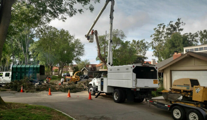 Large tree removal cost-Palm Beach County Tree Trimming and Tree Removal Services-We Offer Tree Trimming Services, Tree Removal, Tree Pruning, Tree Cutting, Residential and Commercial Tree Trimming Services, Storm Damage, Emergency Tree Removal, Land Clearing, Tree Companies, Tree Care Service, Stump Grinding, and we're the Best Tree Trimming Company Near You Guaranteed!
