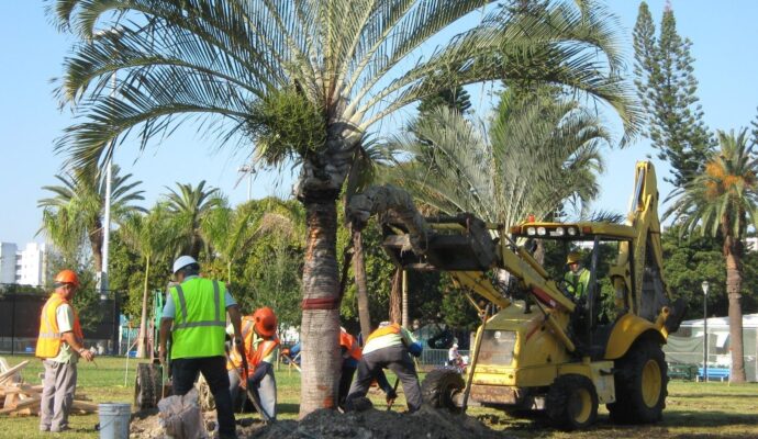 Palm tree service-Palm Beach County Tree Trimming and Tree Removal Services-We Offer Tree Trimming Services, Tree Removal, Tree Pruning, Tree Cutting, Residential and Commercial Tree Trimming Services, Storm Damage, Emergency Tree Removal, Land Clearing, Tree Companies, Tree Care Service, Stump Grinding, and we're the Best Tree Trimming Company Near You Guaranteed!