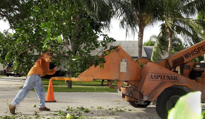 Residential Tree Services Near Me Palm Beach County--Palm Beach County Tree Trimming and Tree Removal Services-We Offer Tree Trimming Services, Tree Removal, Tree Pruning, Tree Cutting, Residential and Commercial Tree Trimming Services, Storm Damage, Emergency Tree Removal, Land Clearing, Tree Companies, Tree Care Service, Stump Grinding, and we're the Best Tree Trimming Company Near You Guaranteed!