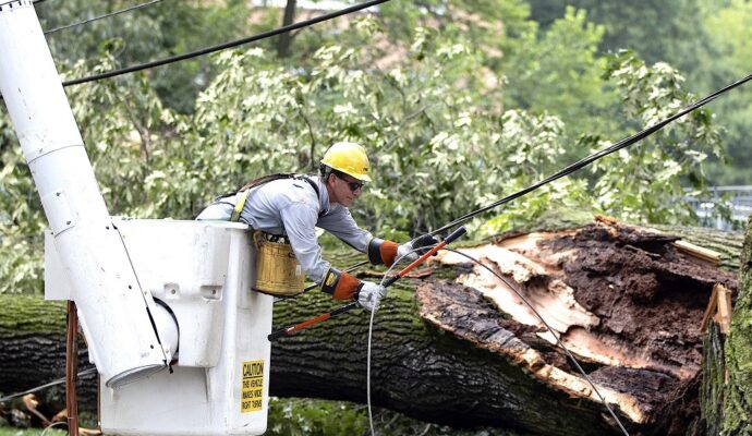 Storm-Damage-Near-Me-Palm Beach County Tree Trimming and Tree Removal Services-We Offer Tree Trimming Services, Tree Removal, Tree Pruning, Tree Cutting, Residential and Commercial Tree Trimming Services, Storm Damage, Emergency Tree Removal, Land Clearing, Tree Companies, Tree Care Service, Stump Grinding, and we're the Best Tree Trimming Company Near You Guaranteed!