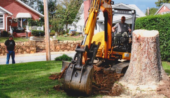 Stump removal cost-Palm Beach County Tree Trimming and Tree Removal Services-We Offer Tree Trimming Services, Tree Removal, Tree Pruning, Tree Cutting, Residential and Commercial Tree Trimming Services, Storm Damage, Emergency Tree Removal, Land Clearing, Tree Companies, Tree Care Service, Stump Grinding, and we're the Best Tree Trimming Company Near You Guaranteed!