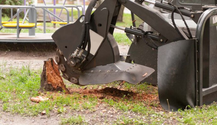 Stump removal prices-Palm Beach County Tree Trimming and Tree Removal Services-We Offer Tree Trimming Services, Tree Removal, Tree Pruning, Tree Cutting, Residential and Commercial Tree Trimming Services, Storm Damage, Emergency Tree Removal, Land Clearing, Tree Companies, Tree Care Service, Stump Grinding, and we're the Best Tree Trimming Company Near You Guaranteed!