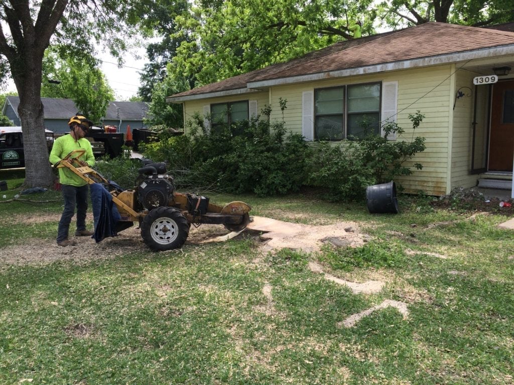 Stump removal service near me-Palm Beach County Tree Trimming and Tree Removal Services-We Offer Tree Trimming Services, Tree Removal, Tree Pruning, Tree Cutting, Residential and Commercial Tree Trimming Services, Storm Damage, Emergency Tree Removal, Land Clearing, Tree Companies, Tree Care Service, Stump Grinding, and we're the Best Tree Trimming Company Near You Guaranteed!