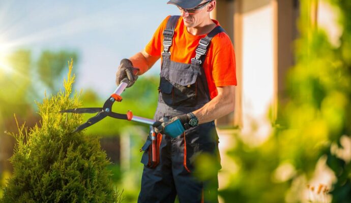 Tree Pruning cost-Palm Beach County Tree Trimming and Tree Removal Services-We Offer Tree Trimming Services, Tree Removal, Tree Pruning, Tree Cutting, Residential and Commercial Tree Trimming Services, Storm Damage, Emergency Tree Removal, Land Clearing, Tree Companies, Tree Care Service, Stump Grinding, and we're the Best Tree Trimming Company Near You Guaranteed!