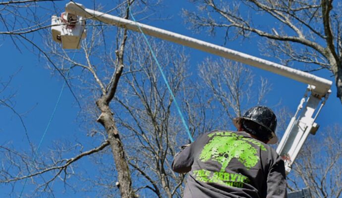 Tree Pruning service-Palm Beach County Tree Trimming and Tree Removal Services-We Offer Tree Trimming Services, Tree Removal, Tree Pruning, Tree Cutting, Residential and Commercial Tree Trimming Services, Storm Damage, Emergency Tree Removal, Land Clearing, Tree Companies, Tree Care Service, Stump Grinding, and we're the Best Tree Trimming Company Near You Guaranteed!