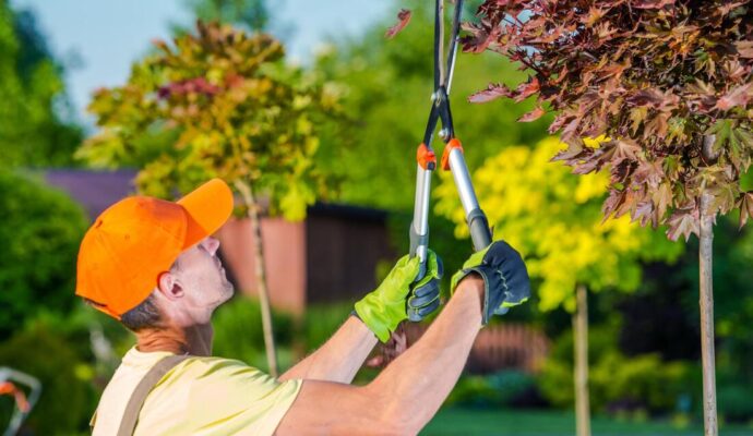 Tree Trimming Near Me Palm Beach County-Palm Beach County Tree Trimming and Tree Removal Services-We Offer Tree Trimming Services, Tree Removal, Tree Pruning, Tree Cutting, Residential and Commercial Tree Trimming Services, Storm Damage, Emergency Tree Removal, Land Clearing, Tree Companies, Tree Care Service, Stump Grinding, and we're the Best Tree Trimming Company Near You Guaranteed!