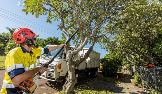 Tree Trimming Prices-Palm Beach County Tree Trimming and Tree Removal Services-We Offer Tree Trimming Services, Tree Removal, Tree Pruning, Tree Cutting, Residential and Commercial Tree Trimming Services, Storm Damage, Emergency Tree Removal, Land Clearing, Tree Companies, Tree Care Service, Stump Grinding, and we're the Best Tree Trimming Company Near You Guaranteed!