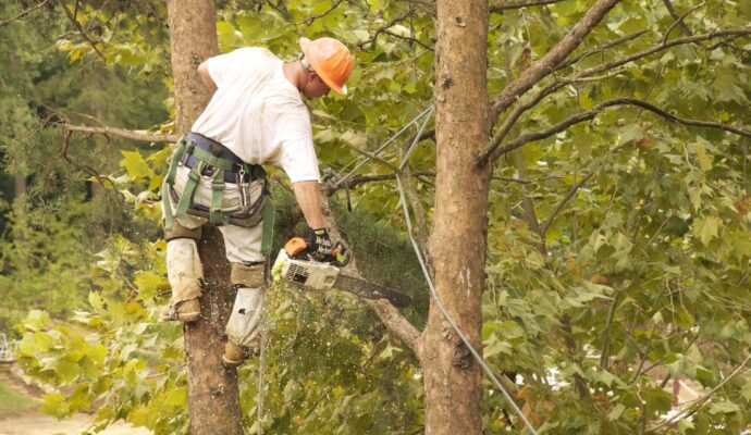 Tree Trimming Removal Service-Palm Beach County Tree Trimming and Tree Removal Services-We Offer Tree Trimming Services, Tree Removal, Tree Pruning, Tree Cutting, Residential and Commercial Tree Trimming Services, Storm Damage, Emergency Tree Removal, Land Clearing, Tree Companies, Tree Care Service, Stump Grinding, and we're the Best Tree Trimming Company Near You Guaranteed!