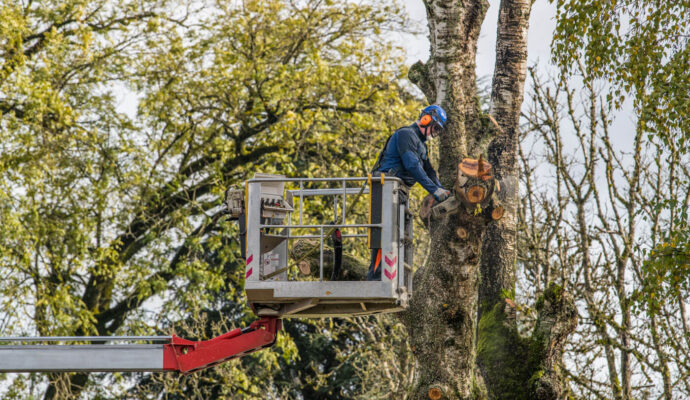 Tree Trimming Services-Palm Beach County Tree Trimming and Tree Removal Services-We Offer Tree Trimming Services, Tree Removal, Tree Pruning, Tree Cutting, Residential and Commercial Tree Trimming Services, Storm Damage, Emergency Tree Removal, Land Clearing, Tree Companies, Tree Care Service, Stump Grinding, and we're the Best Tree Trimming Company Near You Guaranteed!