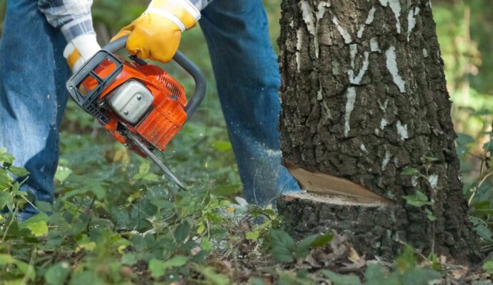 Tree Trimming and Removal Cost-Palm Beach County Tree Trimming and Tree Removal Services-We Offer Tree Trimming Services, Tree Removal, Tree Pruning, Tree Cutting, Residential and Commercial Tree Trimming Services, Storm Damage, Emergency Tree Removal, Land Clearing, Tree Companies, Tree Care Service, Stump Grinding, and we're the Best Tree Trimming Company Near You Guaranteed!