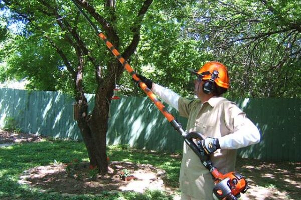 Tree pruning near me Palm Beach County-Palm Beach County Tree Trimming and Tree Removal Services-We Offer Tree Trimming Services, Tree Removal, Tree Pruning, Tree Cutting, Residential and Commercial Tree Trimming Services, Storm Damage, Emergency Tree Removal, Land Clearing, Tree Companies, Tree Care Service, Stump Grinding, and we're the Best Tree Trimming Company Near You Guaranteed!