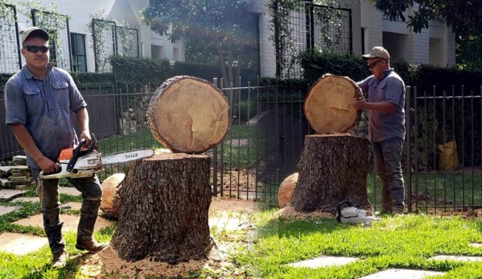Tree service contractors-Palm Beach County Tree Trimming and Tree Removal Services-We Offer Tree Trimming Services, Tree Removal, Tree Pruning, Tree Cutting, Residential and Commercial Tree Trimming Services, Storm Damage, Emergency Tree Removal, Land Clearing, Tree Companies, Tree Care Service, Stump Grinding, and we're the Best Tree Trimming Company Near You Guaranteed!
