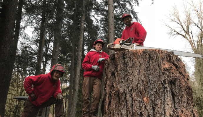 Tree service estimator-Palm Beach County Tree Trimming and Tree Removal Services-We Offer Tree Trimming Services, Tree Removal, Tree Pruning, Tree Cutting, Residential and Commercial Tree Trimming Services, Storm Damage, Emergency Tree Removal, Land Clearing, Tree Companies, Tree Care Service, Stump Grinding, and we're the Best Tree Trimming Company Near You Guaranteed!