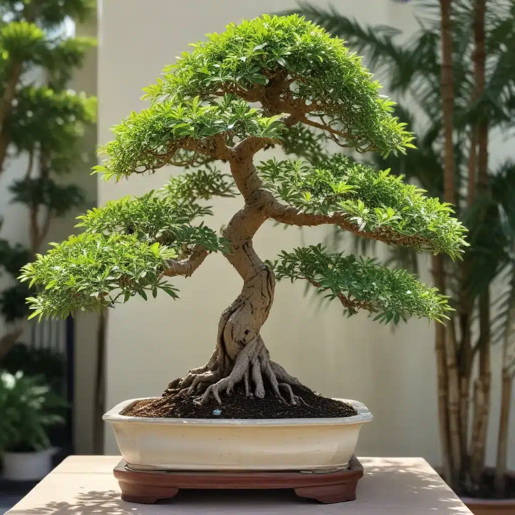 Arboreal Artistry: Mastering the Craft of Bonsai Trees in Palm Beach