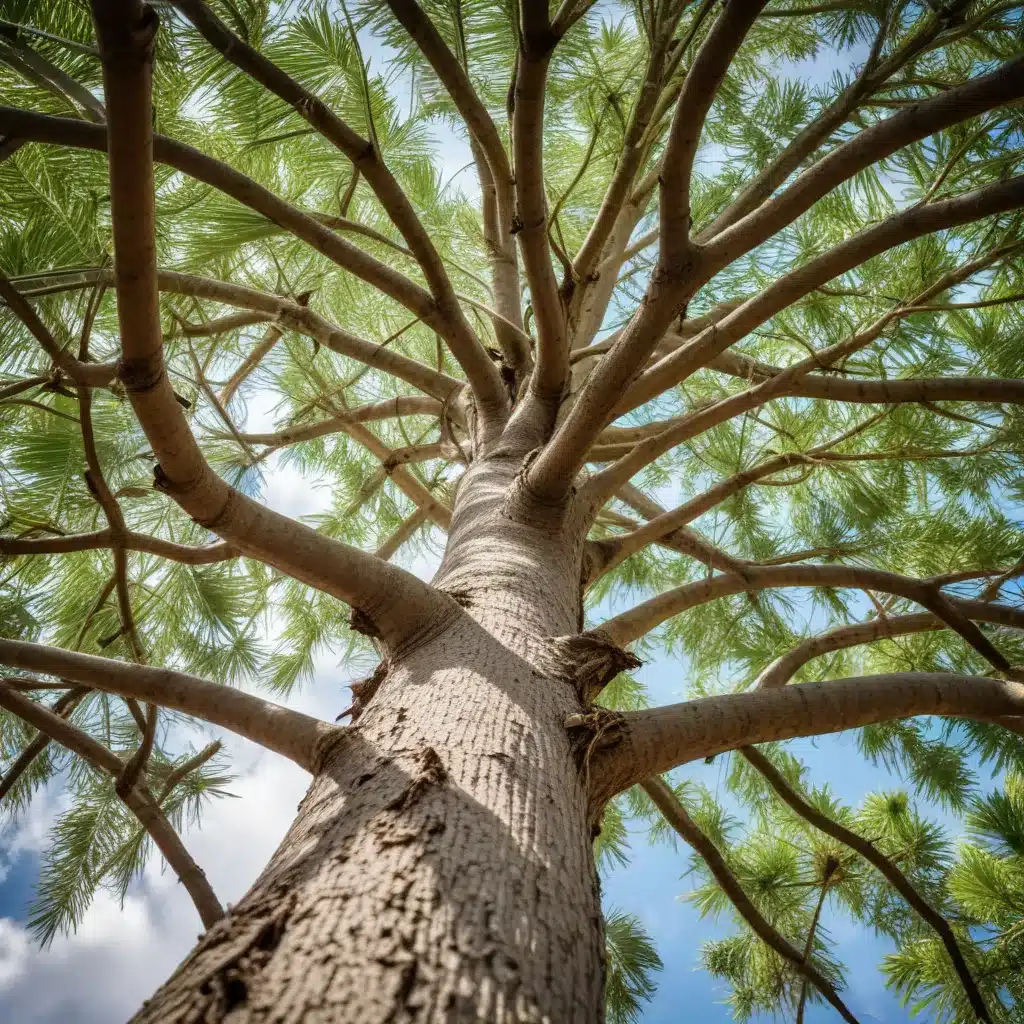 Avoiding the Pitfalls of Tree Topping: Understanding the Risks and Alternatives in Palm Beach