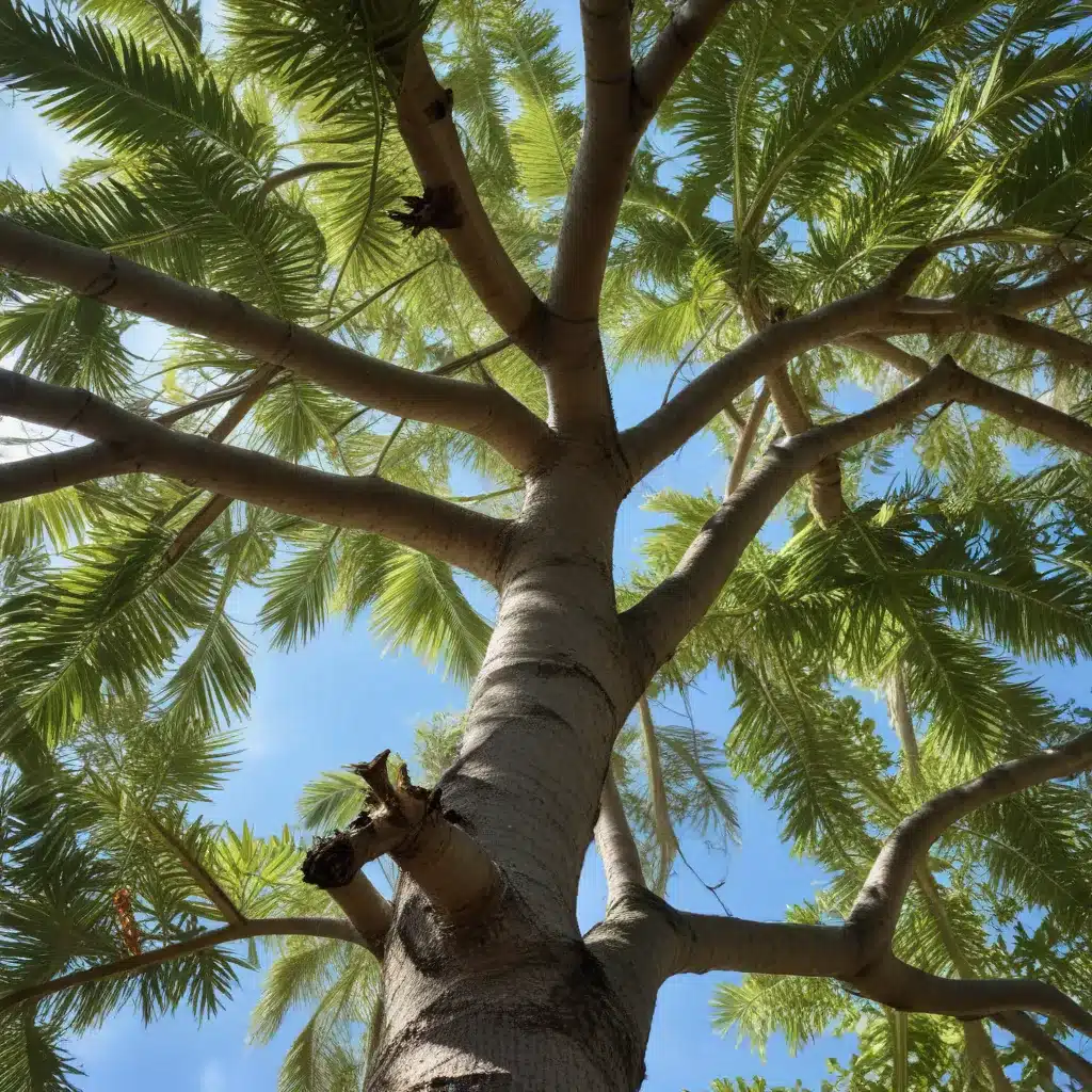 Branching Out: Adapting Tree Care Strategies to Changing Climate in Palm Beach