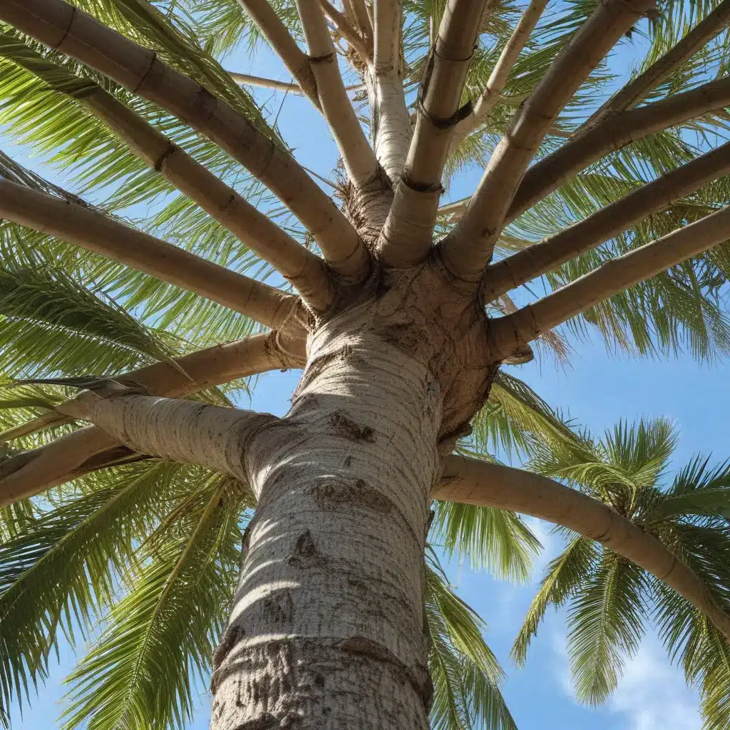 Branching Out: Addressing the Unique Challenges of Palm Beach County Tree Care