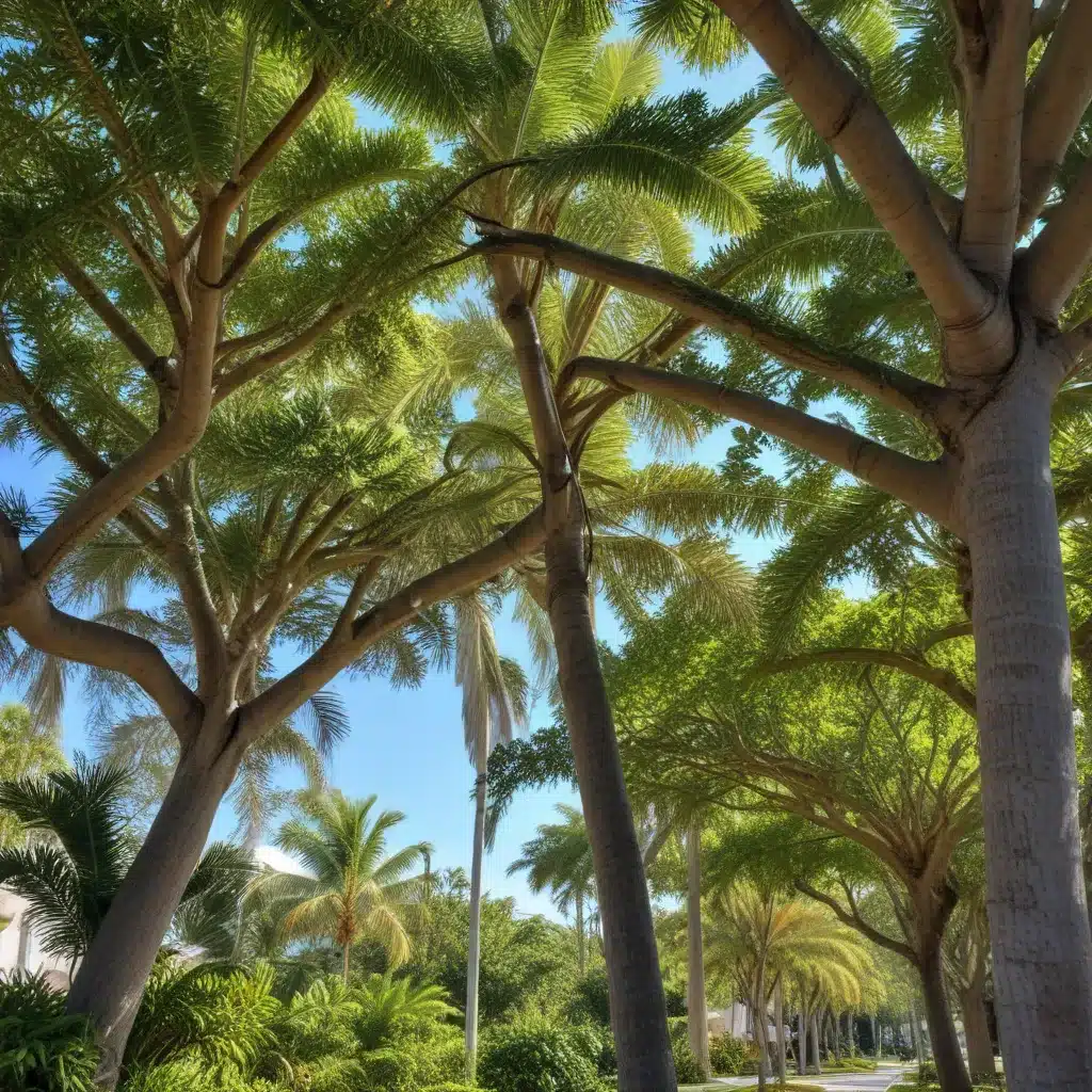 Branching Out: Exploring the Benefits of Palm Beach’s Urban Forest Management Initiatives