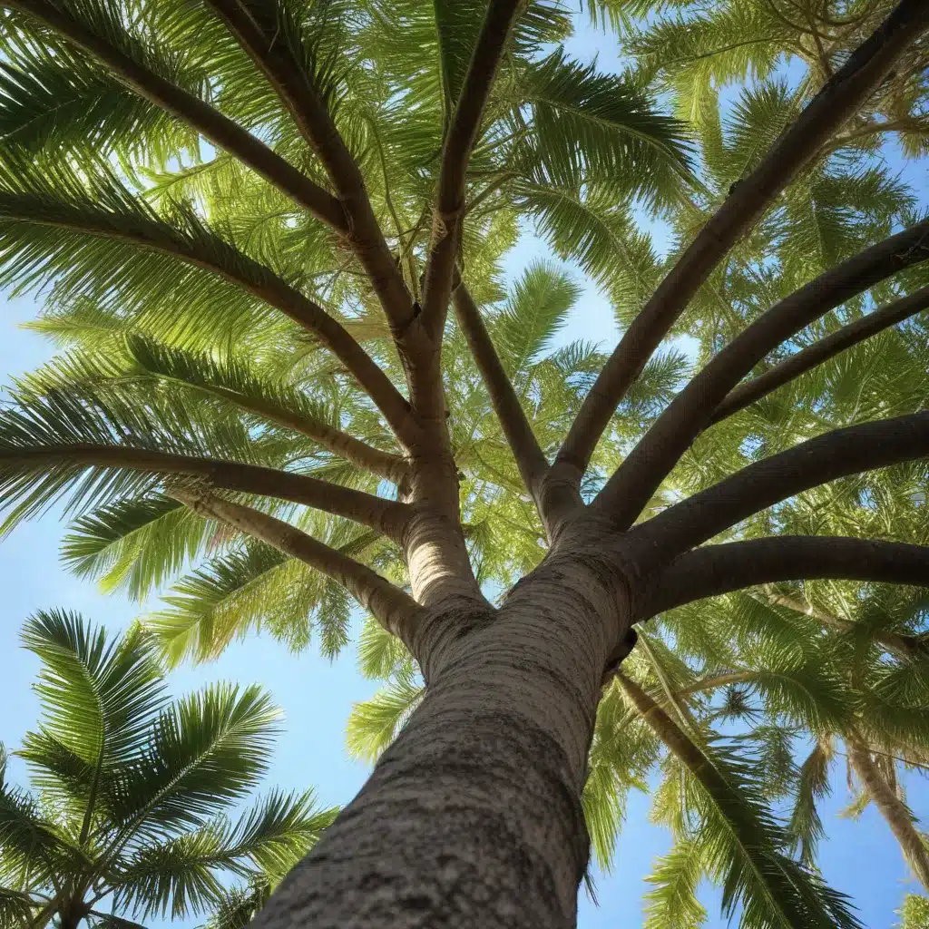 Branching Out: Maintaining the Health of Palm Beach County’s Tree Canopy
