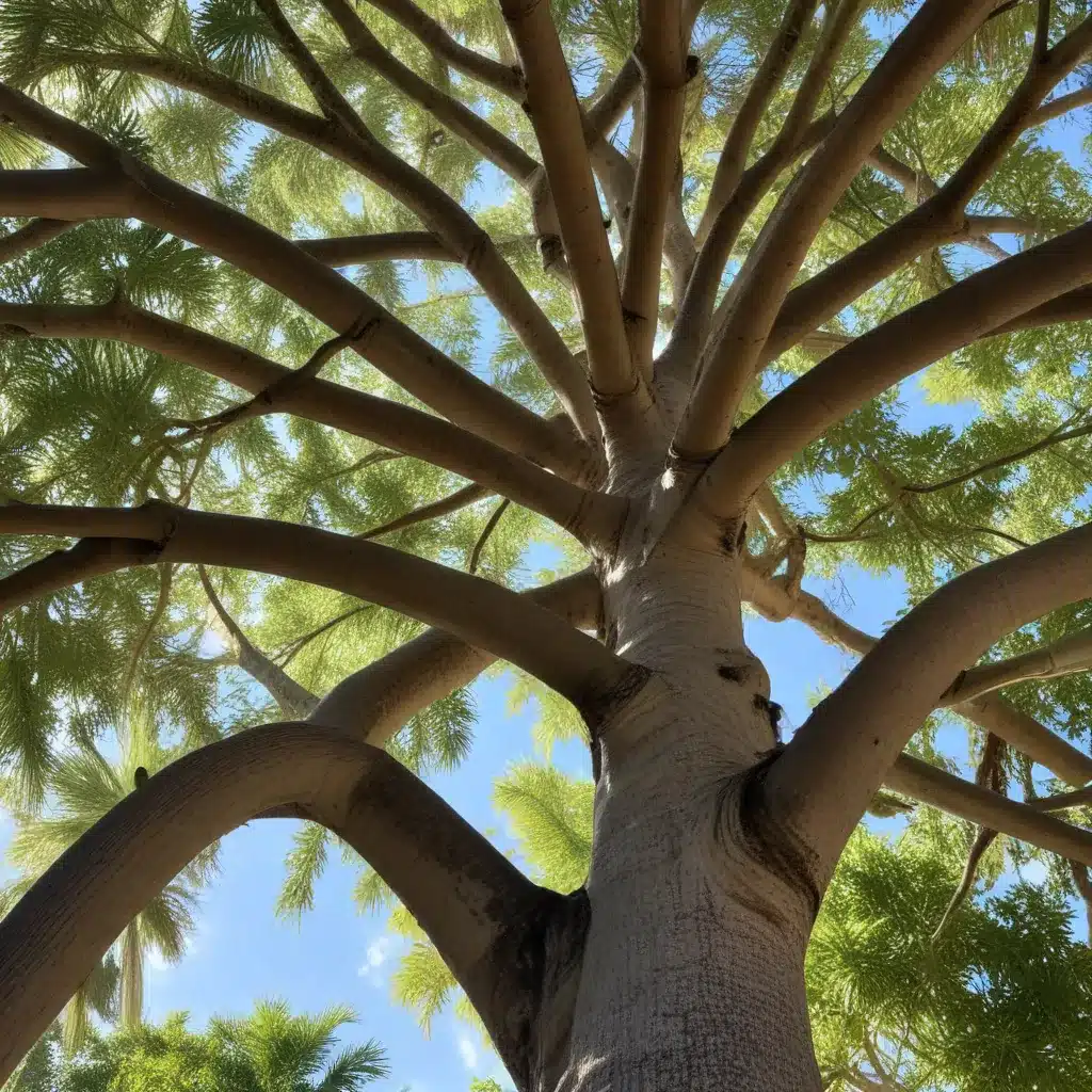 Branching Out: Unlocking the Potential of Palm Beach County’s Heritage Trees