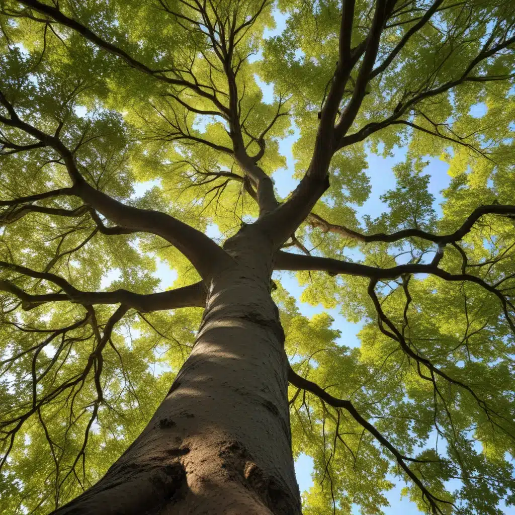 Canopy Connoisseurs: Celebrating the Beauty of Diverse Tree Species