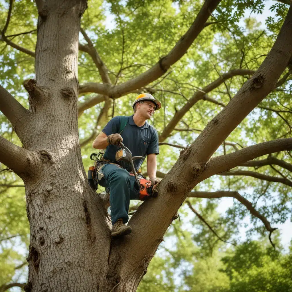 Decoding Tree Care Terminology: A Homeowner’s and Business Owner’s Guide