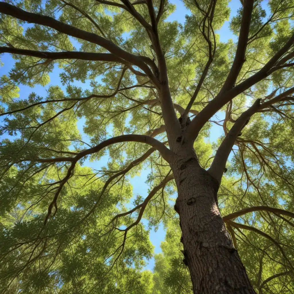 Embracing Eco-Friendly Tree Care: Sustainable Practices for PBC Businesses