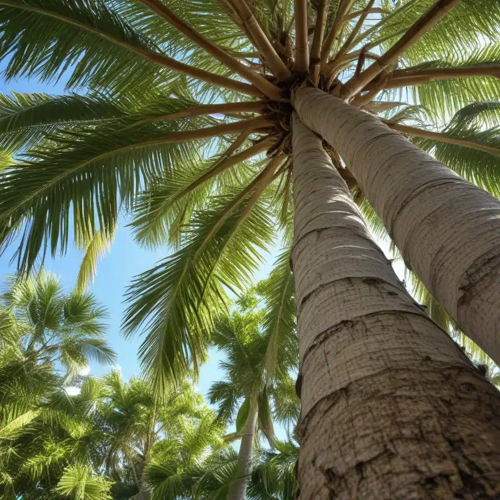 Embracing Eco-Friendly Tree Care: Sustainable Practices for Palm Beach Residents