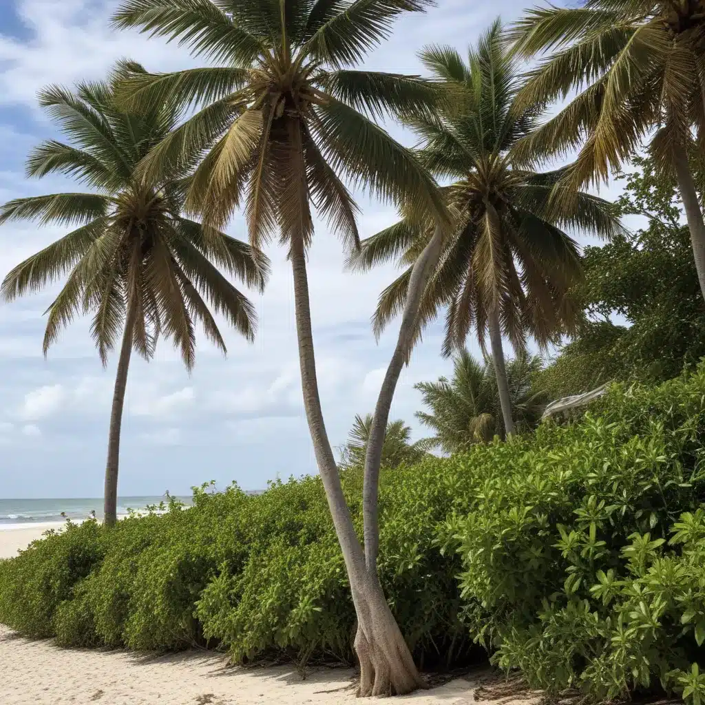 Exploring the Unique Challenges of Coastal Tree Care in Palm Beach County’s Beachfront Communities
