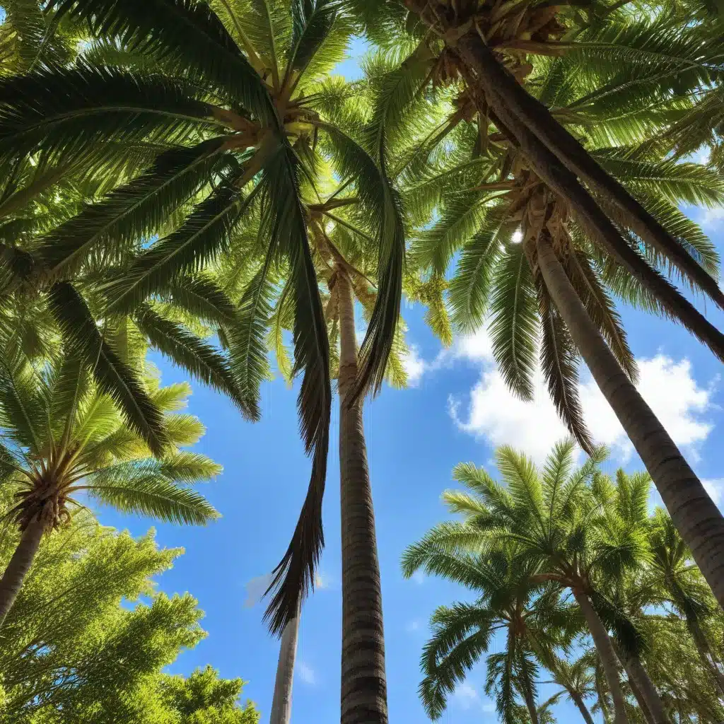 Harnessing the Power of Tree Canopy: Maximizing Energy Efficiency in Palm Beach County