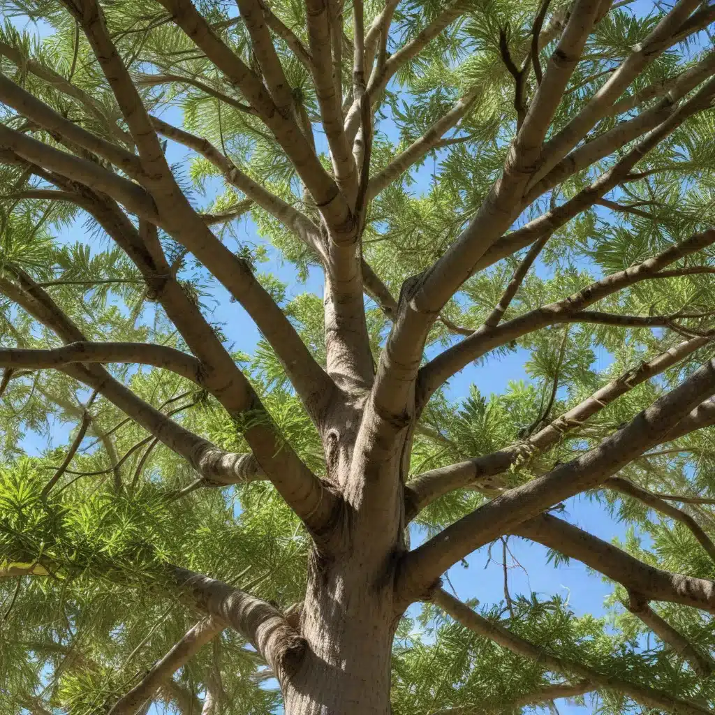 Mastering Seasonal Tree Care in Palm Beach County: Essential Tasks for Property Owners