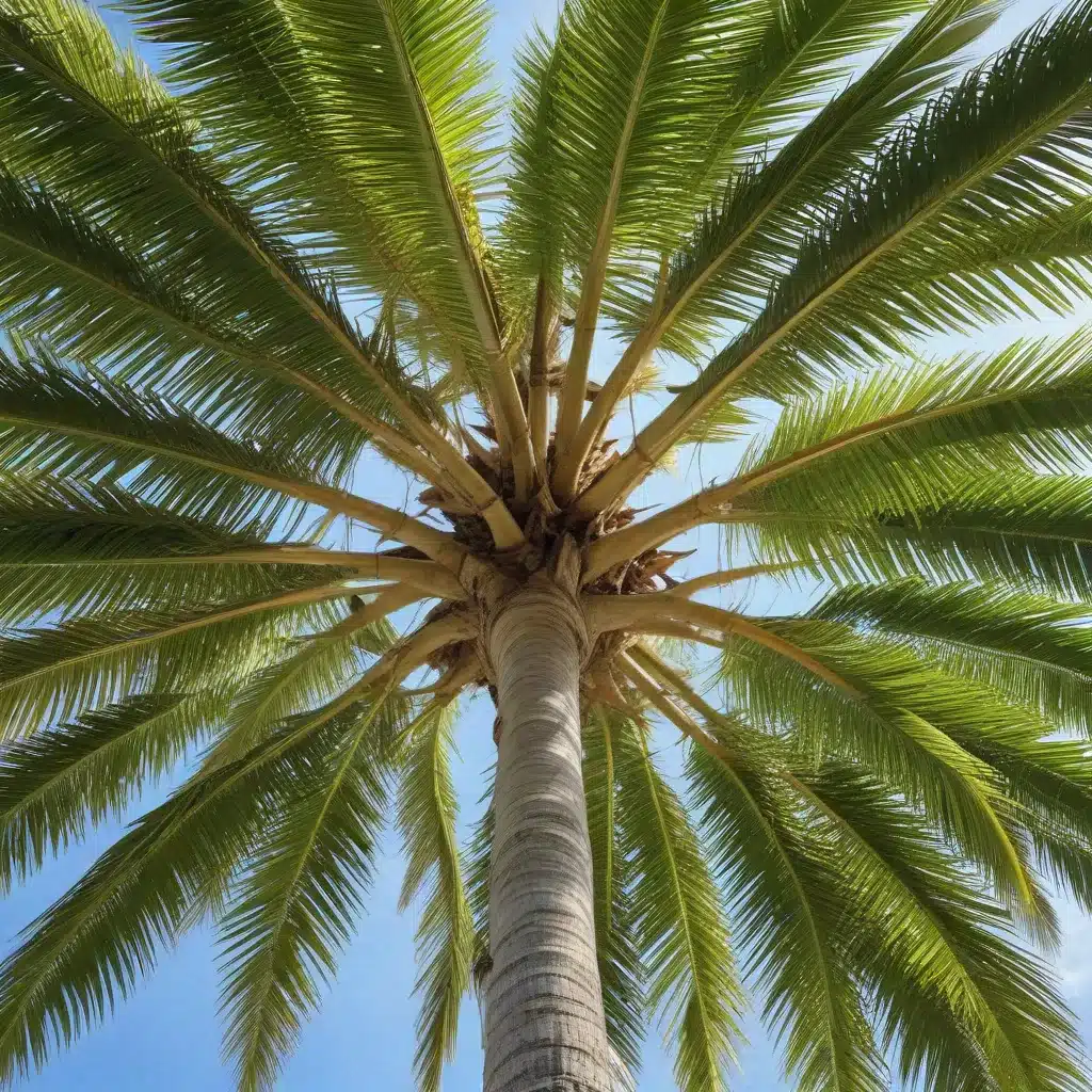 Mastering the Art of Palm Beach Tree Maintenance: A Comprehensive Guide