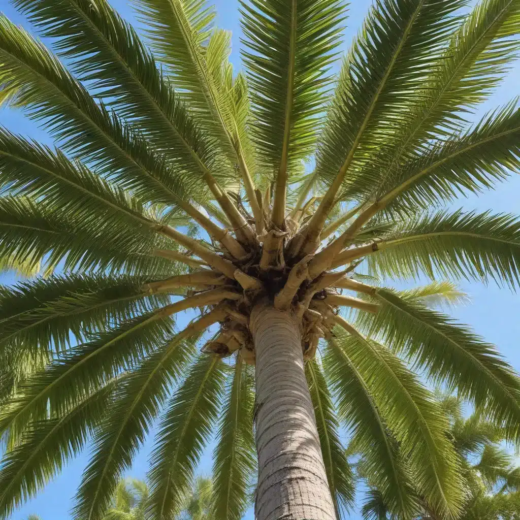 Mastering the Art of Palm Beach Tree Maintenance: A Comprehensive Homeowner’s Guide