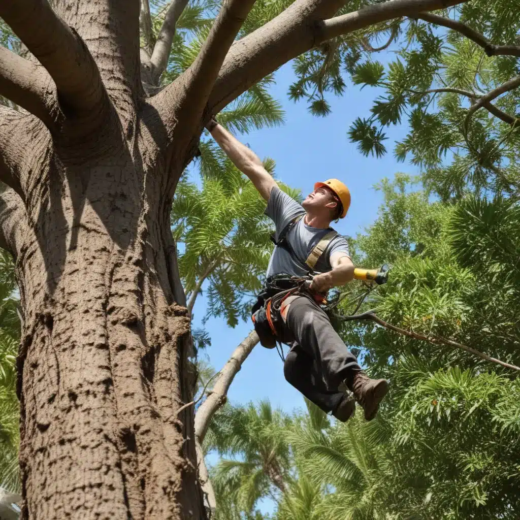 Maximizing Property Values: The Impact of Professional Tree Care in Palm Beach County