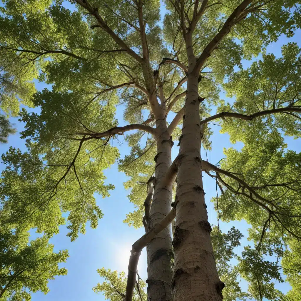 Navigating Tree Transplantation: Ensuring a Successful Relocation Process