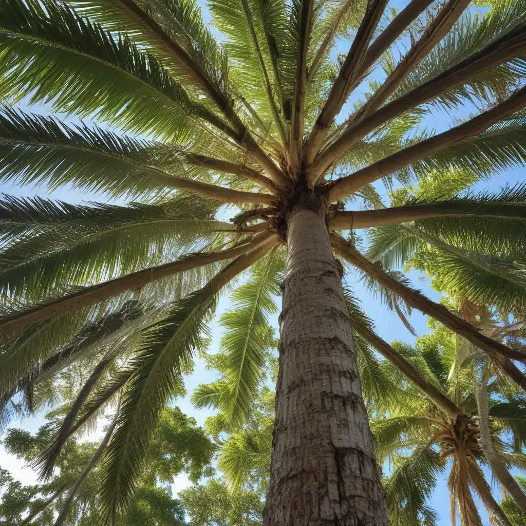 Navigating the Complexities of Tree Preservation: A Guide for Palm Beach