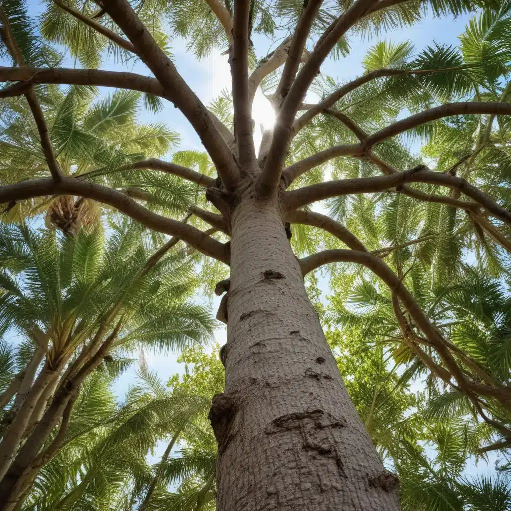 Navigating the Complexities of Tree Preservation in Palm Beach: A Guide