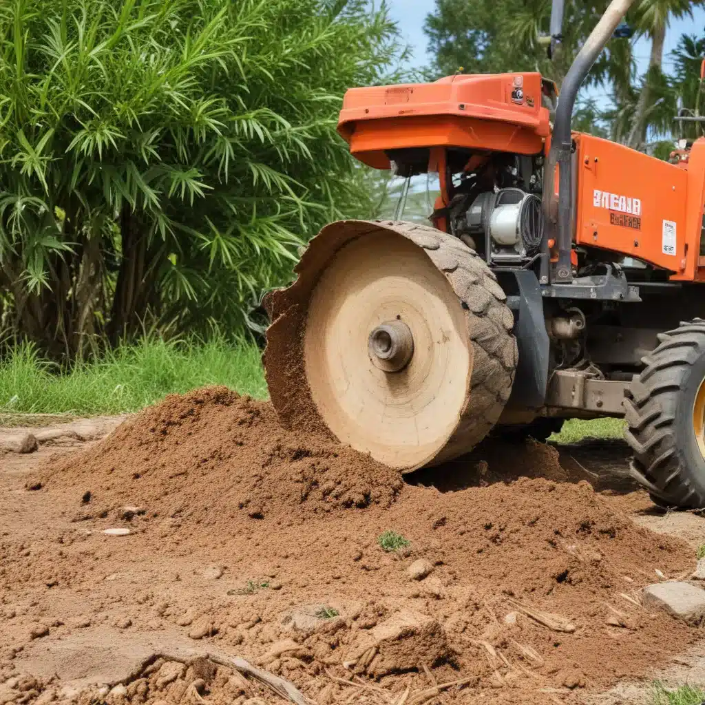 Navigating the Legalities of Stump Grinding: Understanding the Process in Palm Beach County
