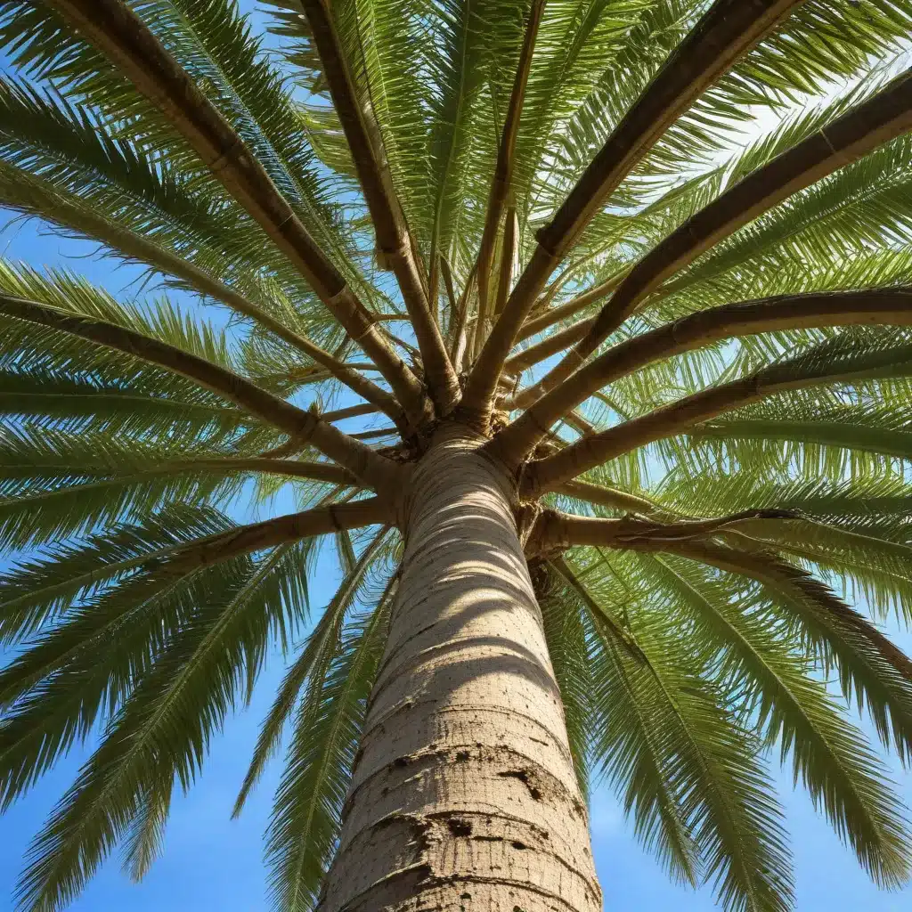 Nurturing Nature: Eco-Friendly Tree Care Practices for a Sustainable Palm Beach