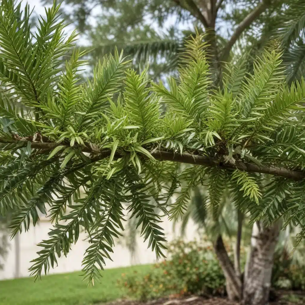 Overcoming Pest and Disease Challenges: Effective Tree and Shrub Care in Palm Beach County