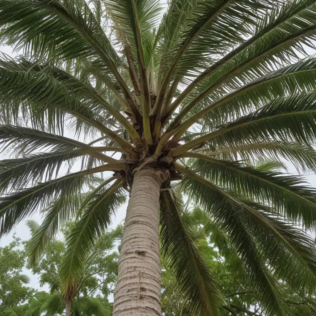 Preparing Your Palm Beach County Trees for Hurricane Season: Essential Pre-Storm Measures